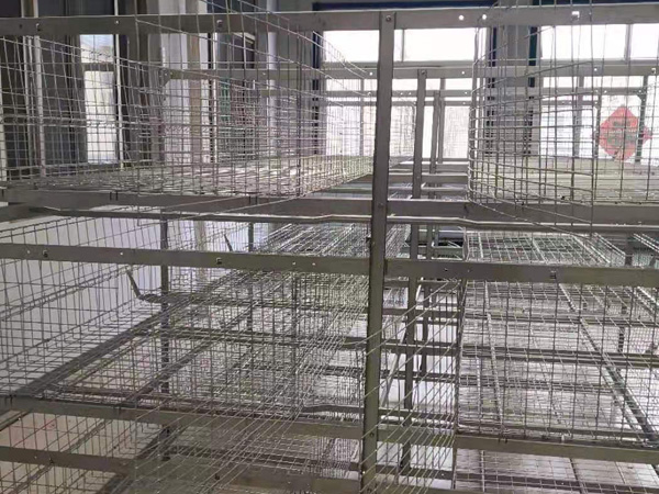 肉雞框架系列